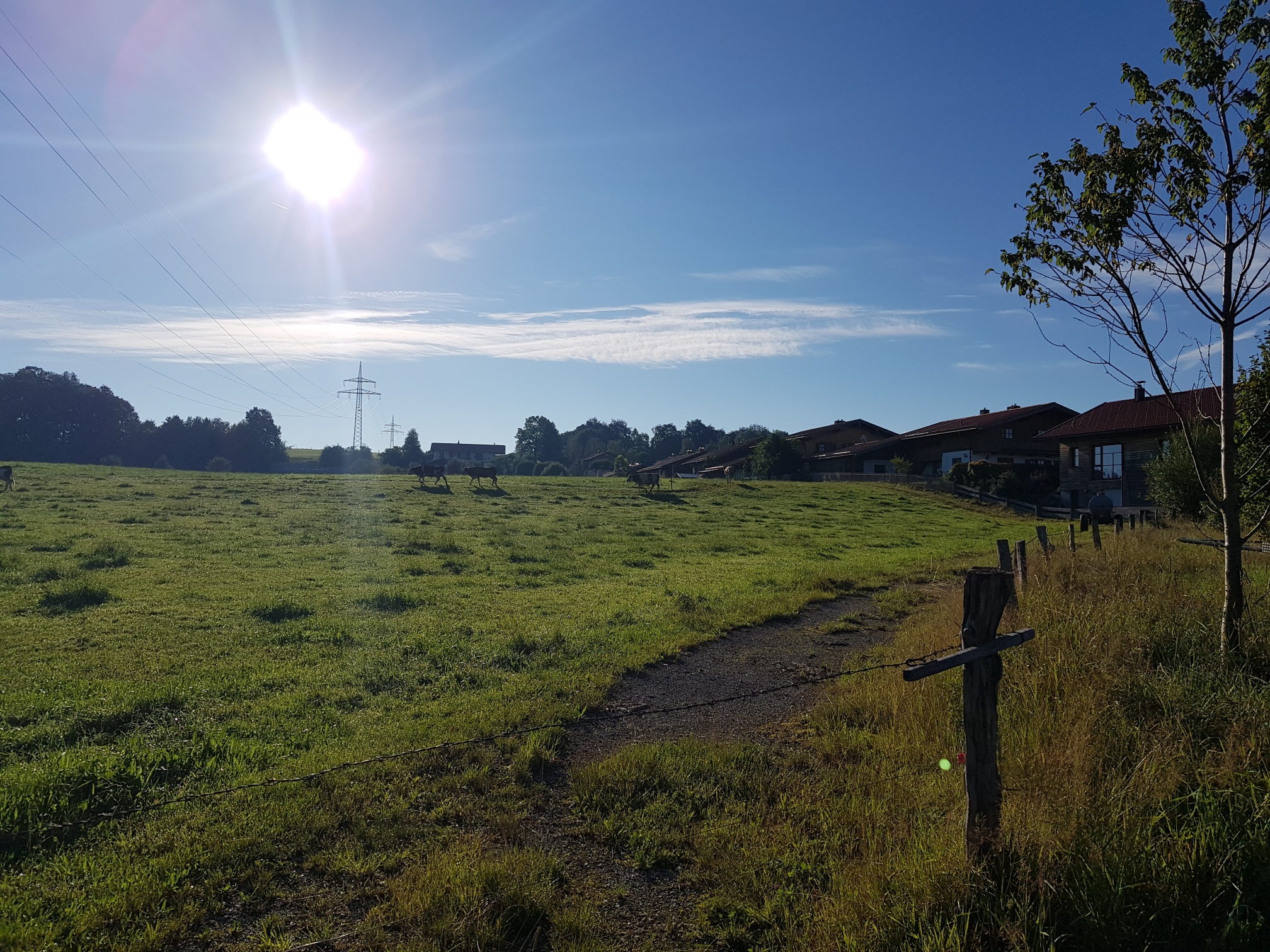 Klimafrühling Oberland 2024