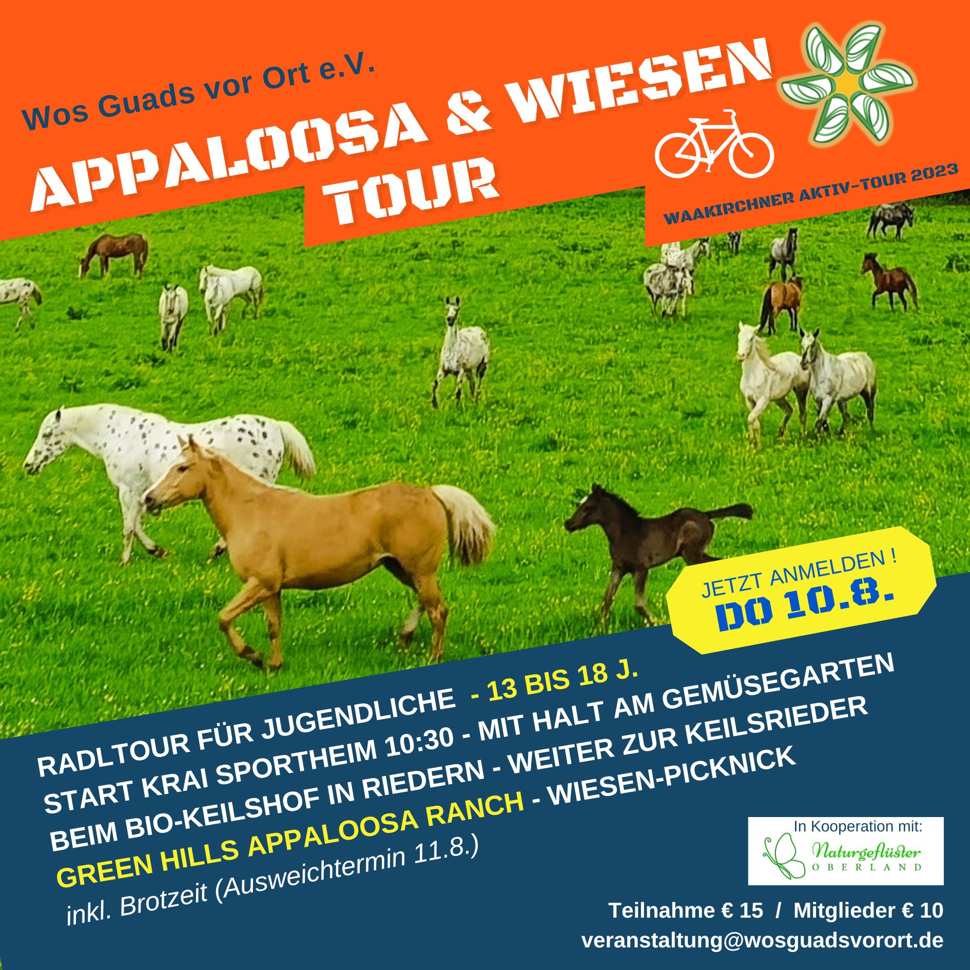 Appaloosa & Wiesen Tour (Jugendliche 13-18 J.)