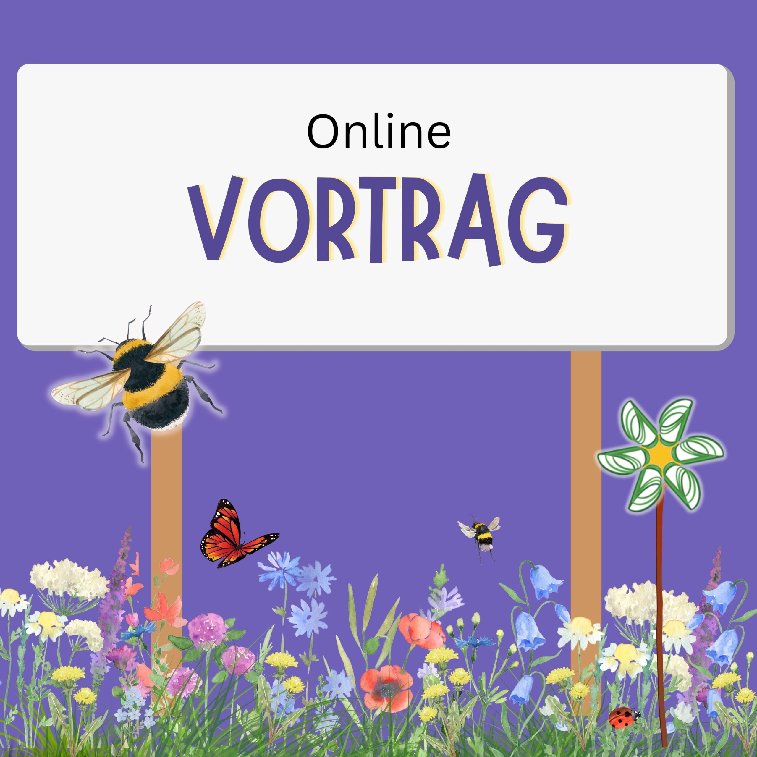 Wildbienen Stammtisch: mit Vortrag von Ernst Rieger, Firmengründer und Pionier in Wildblumensaat Gewinnung