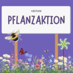 Wir legen gemeinsam ein Blühbeet an (Waakirchen blüht auf!)