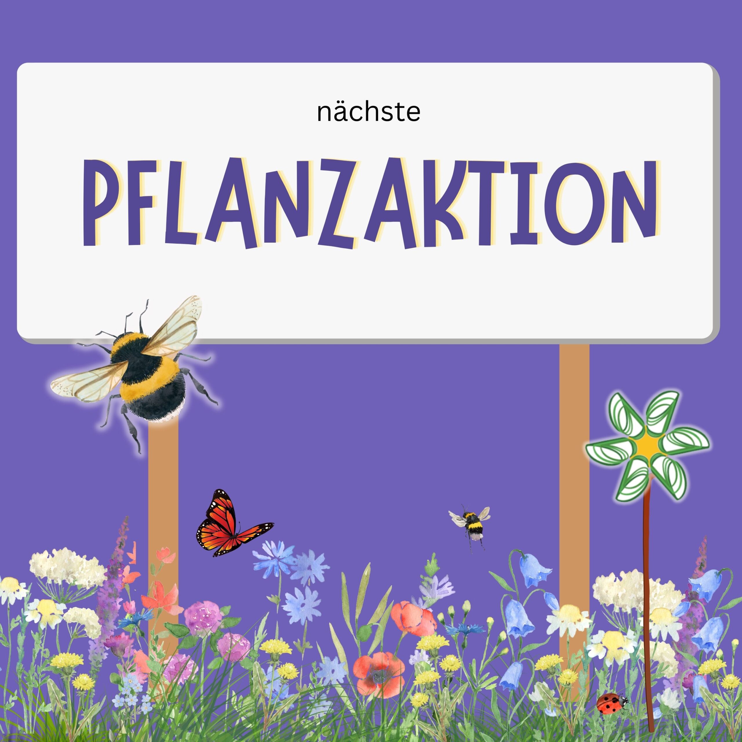 Wir legen gemeinsam ein Blühbeet an (Waakirchen blüht auf!)